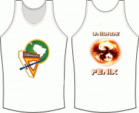 /album/uniformes/camiseta-fenix-gif/